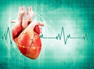 Thế nào là nhịp tim chậm và cách điều trị như thế nào